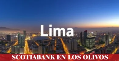 imágen panorámica de la ciudad de lima con la palabra los olivos en la parte de abajo, iconos de contacto y el logo de la web.